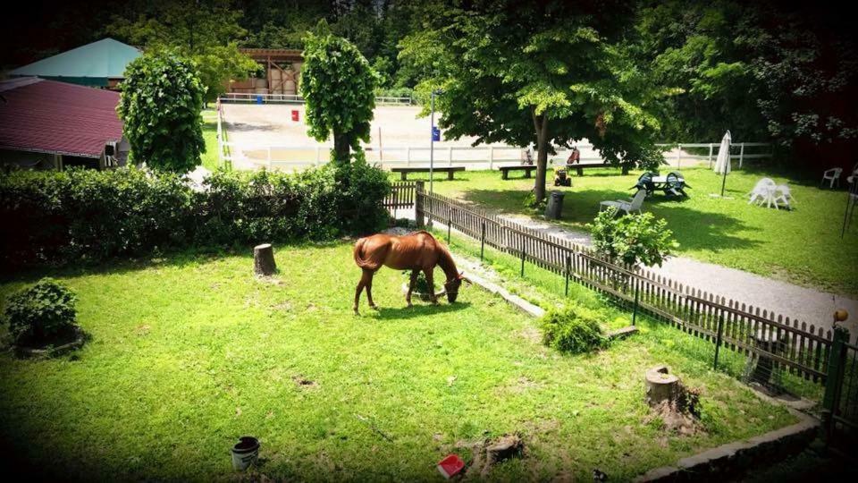 Agriturismo La Fornace Centro Ippico Como Exterior foto