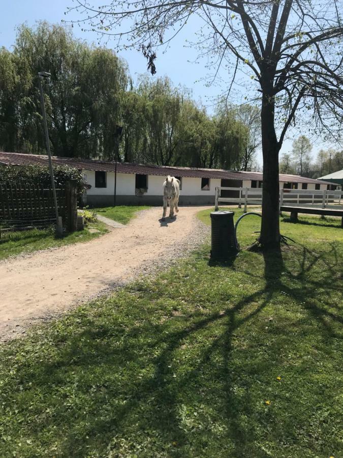 Agriturismo La Fornace Centro Ippico Como Exterior foto